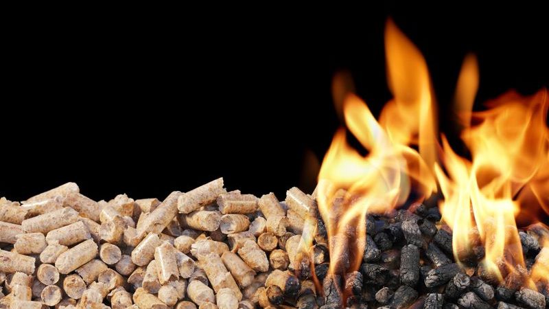 Invester i noget biobrændsel til privaten